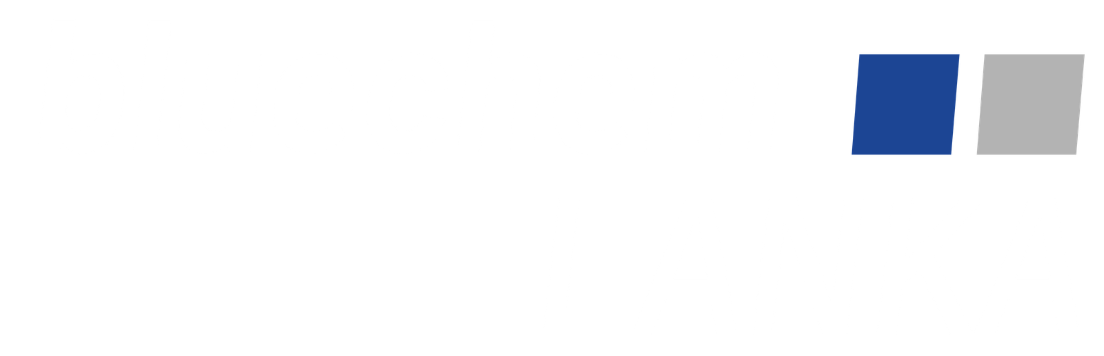 BlueChem Logo